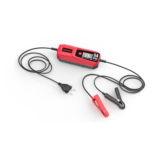 CHARGEUR DE BATTERIE 6/12V 5A 110AH ABSAAR