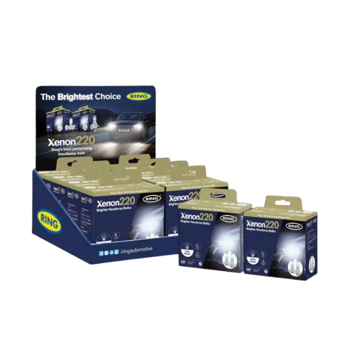 PRESENTOIR 8 AMPOULES RX2277 XENON +220%