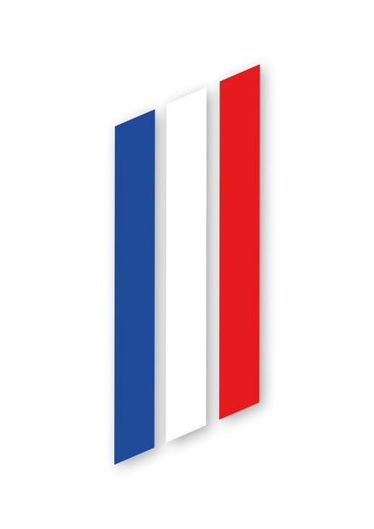 KIT AUTOCOLLANTS DECO AMI "FRANCE" (2 COTES) POUR VOITURE SANS PERMIS ABS