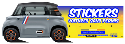 KIT AUTOCOLLANTS DECO AMI "FRANCE" (2 COTES) POUR VOITURE SANS PERMIS ABS