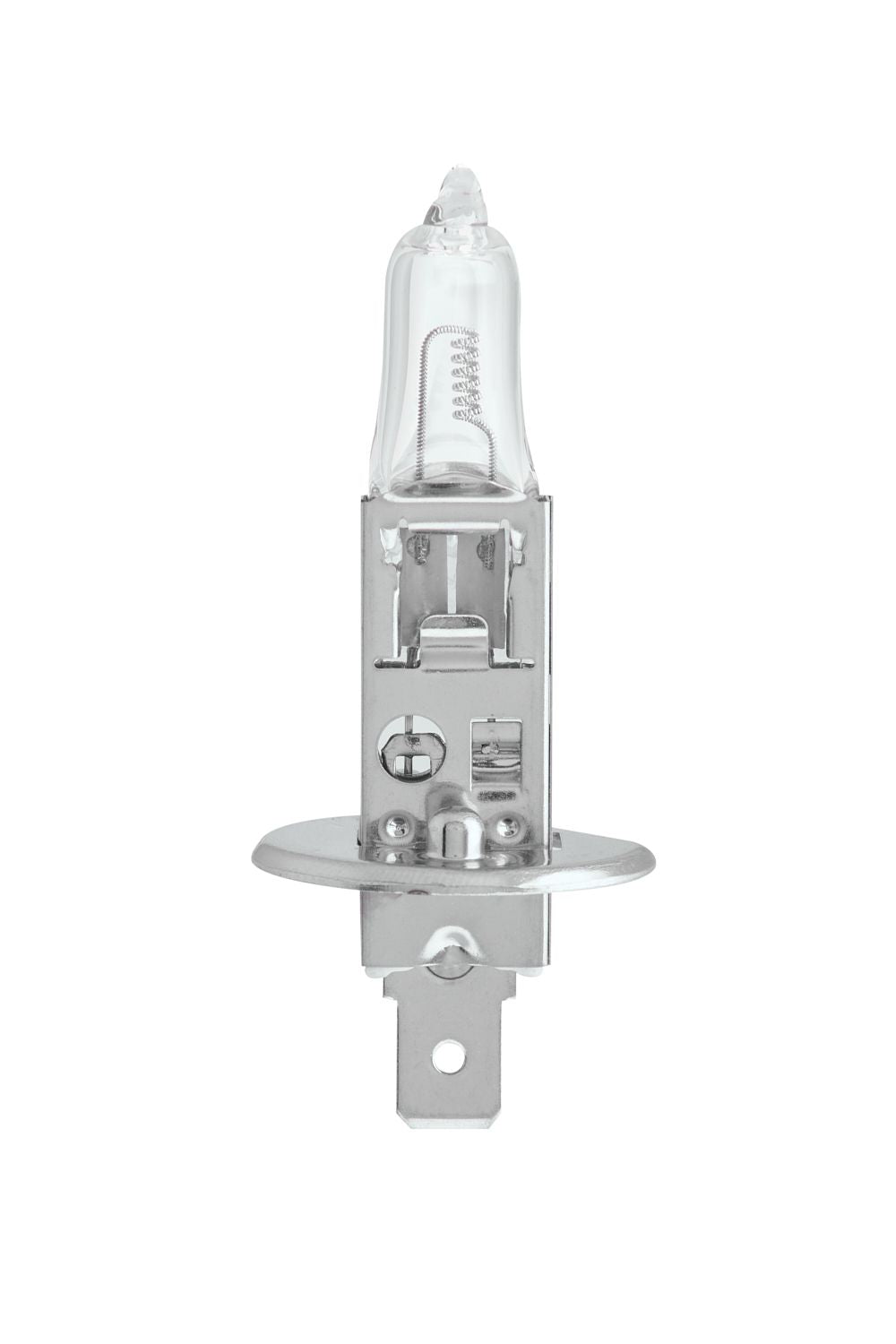 Ampoules halogènes 24V