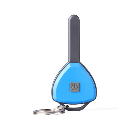 MINI TORCHE PORTE-CLE (BOX DE 24 UNITES)
