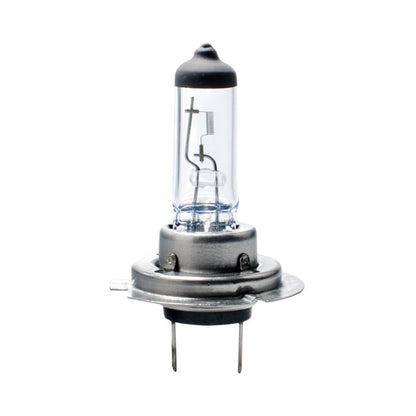 AMPOULES HALOGENES H7 PX26D 12V 55W LONG LIFE (BLISTER) X2 MTECH