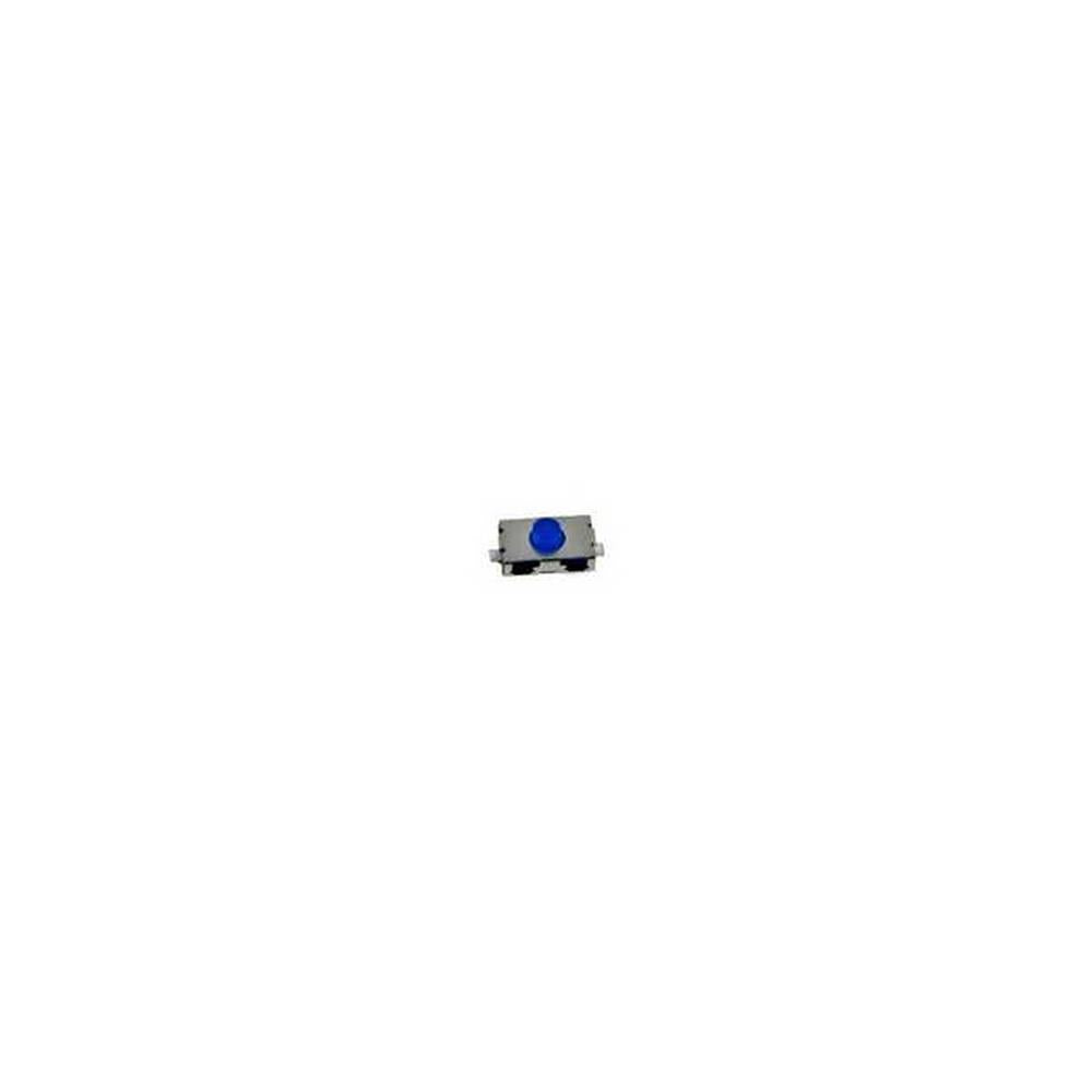 10 SWITCH BOUTON 2 BROCHES SWC2 (BOUTON COURANT)
